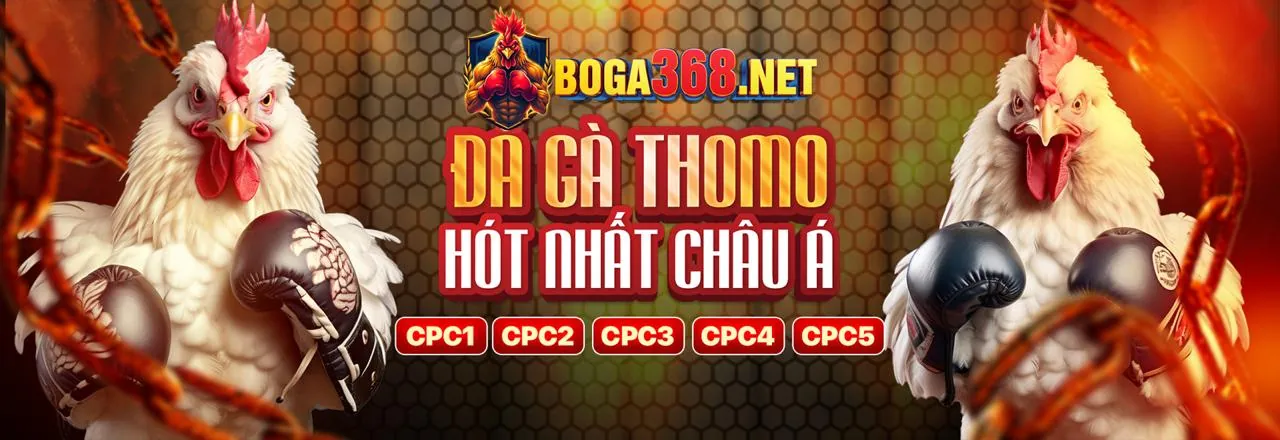 Khuyến mãi Đa Gà Thomo Hấp Dẫn